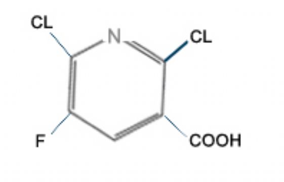 2,6-Dichloro-5-Fluoronicotinic Acid 